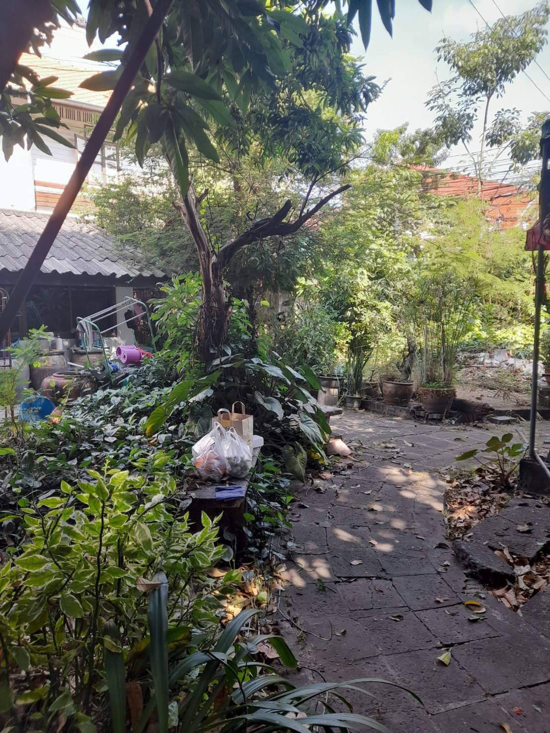 ที่ดินสามเสนซอยสามพระยา ใกล้สถานีรถไฟฟ้าใต้ดินวัดเอี่ยมวรนุช