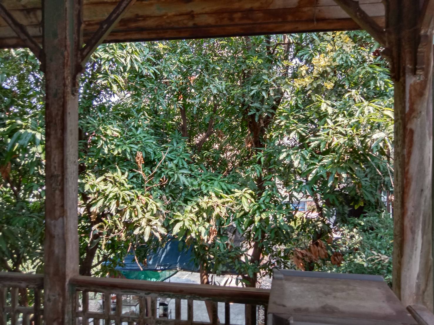 ที่ดินสามเสนซอยสามพระยา ใกล้สถานีรถไฟฟ้าใต้ดินวัดเอี่ยมวรนุช