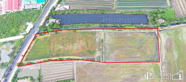 ทำกำไรได้มากกว่า 100 % ++ กับที่ทรงสวย 14 ไร่เศษ หน้ากว้าง 97 ม. ใกล้ ถ. ตัดใหม่ กัลปพฤกษ์ – พุทธสาคร KK5104S