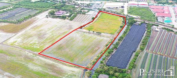 ทำกำไรได้มากกว่า 100 % ++ กับที่ทรงสวย 14 ไร่เศษ หน้ากว้าง 97 ม. ใกล้ ถ. ตัดใหม่ กัลปพฤกษ์ – พุทธสาคร KK5104S