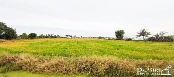 ทำกำไรได้มากกว่า 100 % ++ กับที่ทรงสวย 14 ไร่เศษ หน้ากว้าง 97 ม. ใกล้ ถ. ตัดใหม่ กัลปพฤกษ์ – พุทธสาคร KK5104S