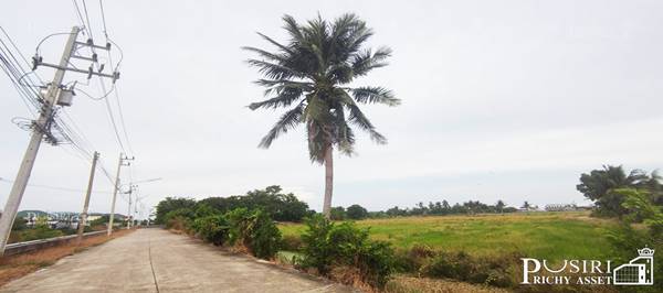 ทำกำไรได้มากกว่า 100 % ++ กับที่ทรงสวย 14 ไร่เศษ หน้ากว้าง 97 ม. ใกล้ ถ. ตัดใหม่ กัลปพฤกษ์ – พุทธสาคร KK5104S