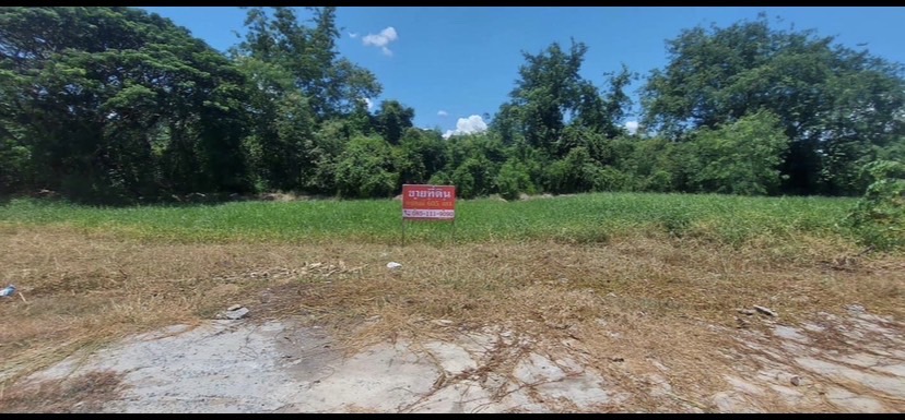 ขายที่ดิน590 ตรว. ในตัวเมืองลพบุรี