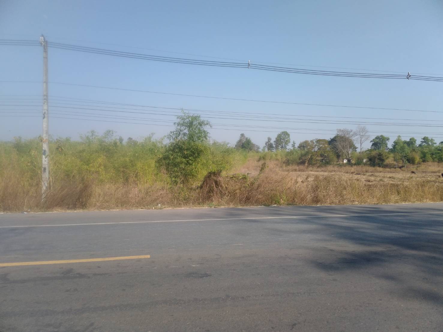 ขายที่ดิน 24-1-53 THB8,000,000 หนองบัว เมือง หนองบัวลำภู