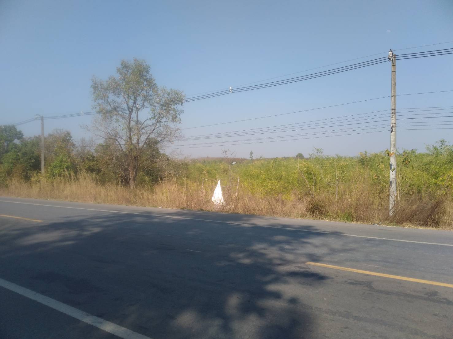 ขายที่ดิน 24-1-53 THB8,000,000 หนองบัว เมือง หนองบัวลำภู