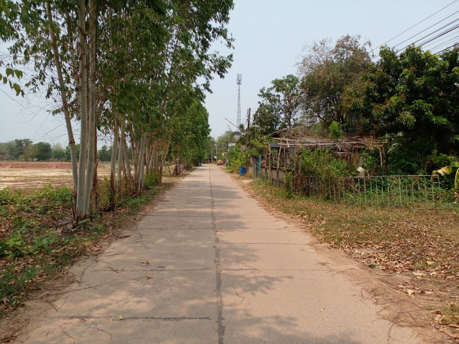 ขายที่ดิน 2-0-0 THB2,700,000 หนองบัว เมือง อุดรธานี