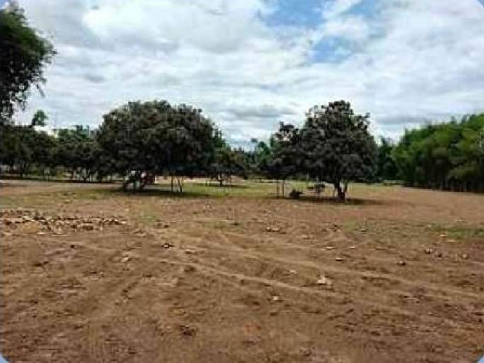 ที่ดินใกล้ม.แม่โจ้ 2 ล้านบาท