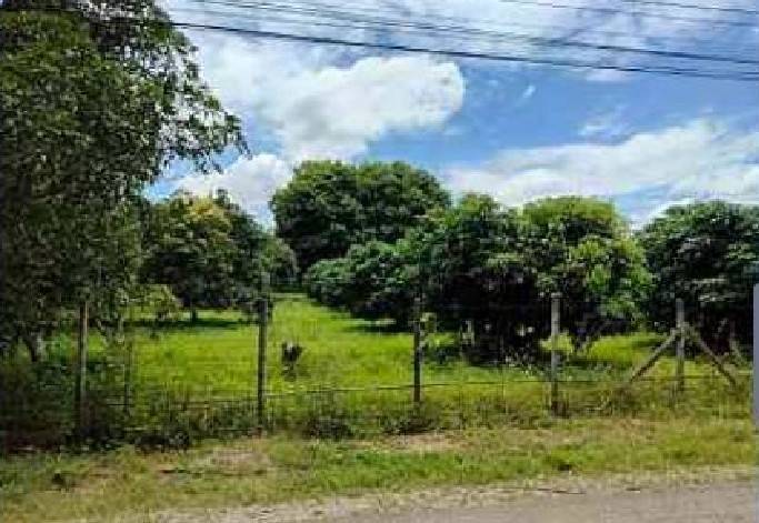 ที่ดินใกล้ม.แม่โจ้ 2 ล้านบาท