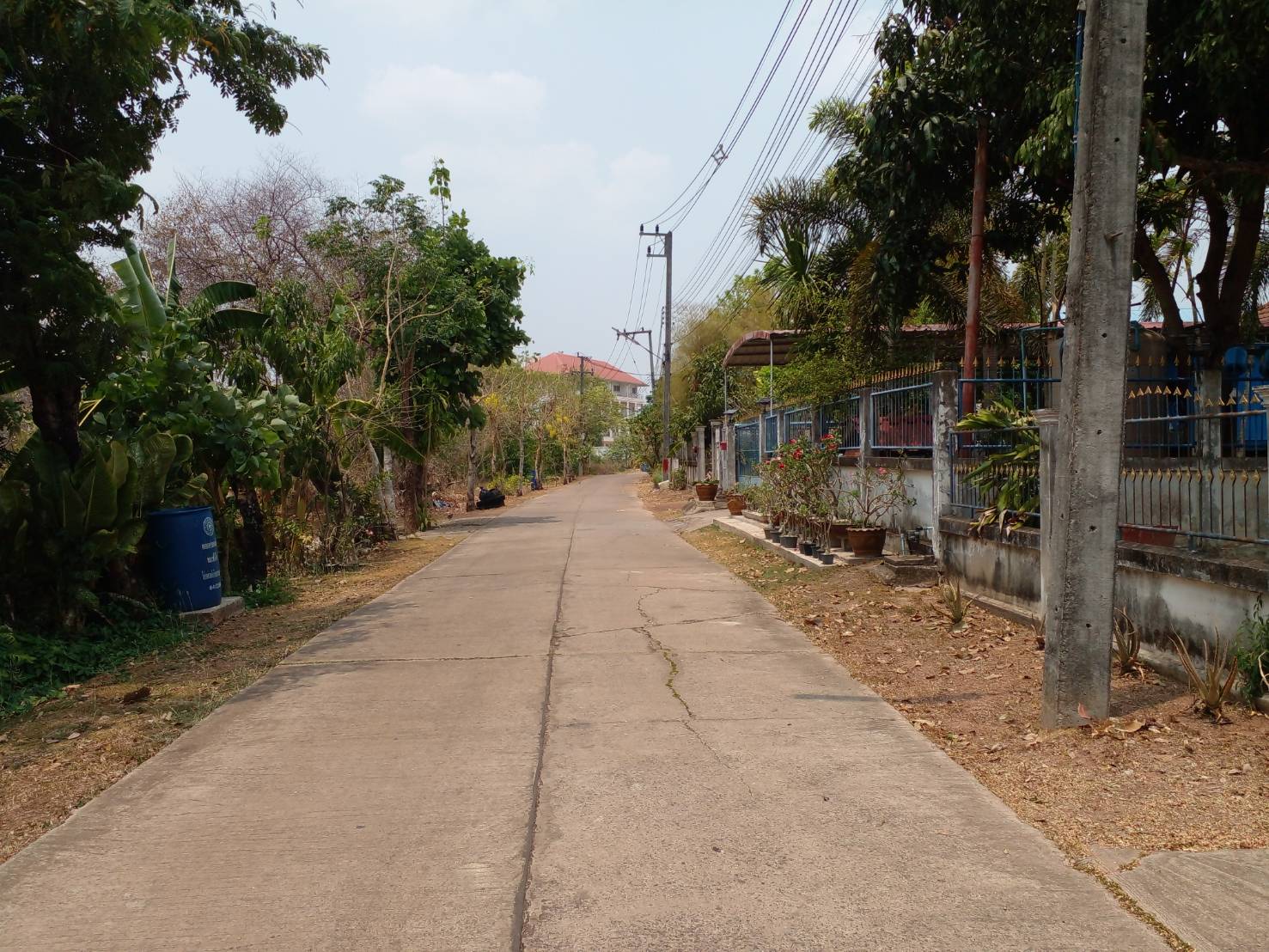 ขายที่ดิน 0-1-88.6 THB1,650,000 หนองบัว เมือง อุดรธานี