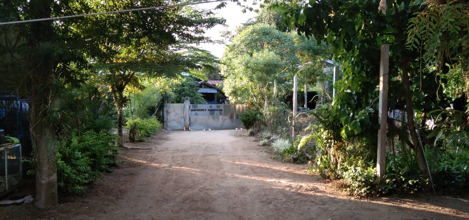 ขายบ้านพร้อมที่ดินบรรยากาศธรรมชาติและขุนเขา ขนาด 1 ไร่ อ.ปาย จ.แม่ฮ่องสอน 
