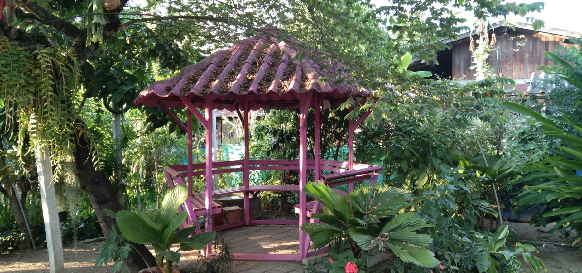 ขายบ้านพร้อมที่ดินบรรยากาศธรรมชาติและขุนเขา ขนาด 1 ไร่ อ.ปาย จ.แม่ฮ่องสอน 