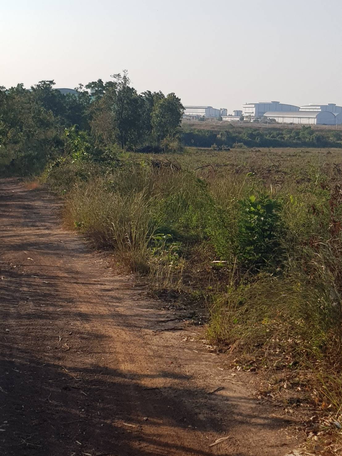 ขายที่ดิน 68-0-50 THB40,875,000 อุ่มจาน กุสุมาลย์ สกลนคร