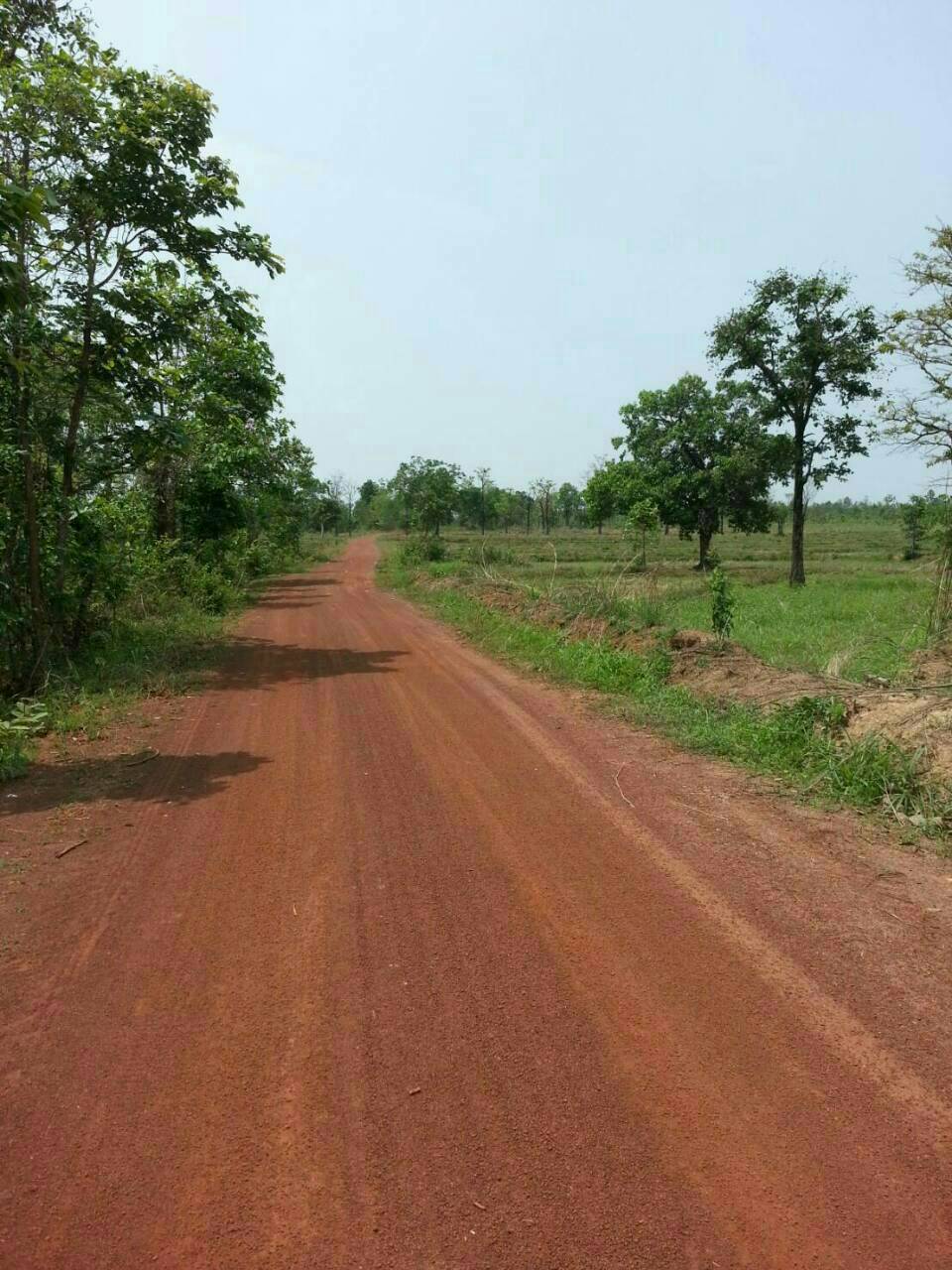 ขายที่ดิน 68-0-50 THB40,875,000 อุ่มจาน กุสุมาลย์ สกลนคร