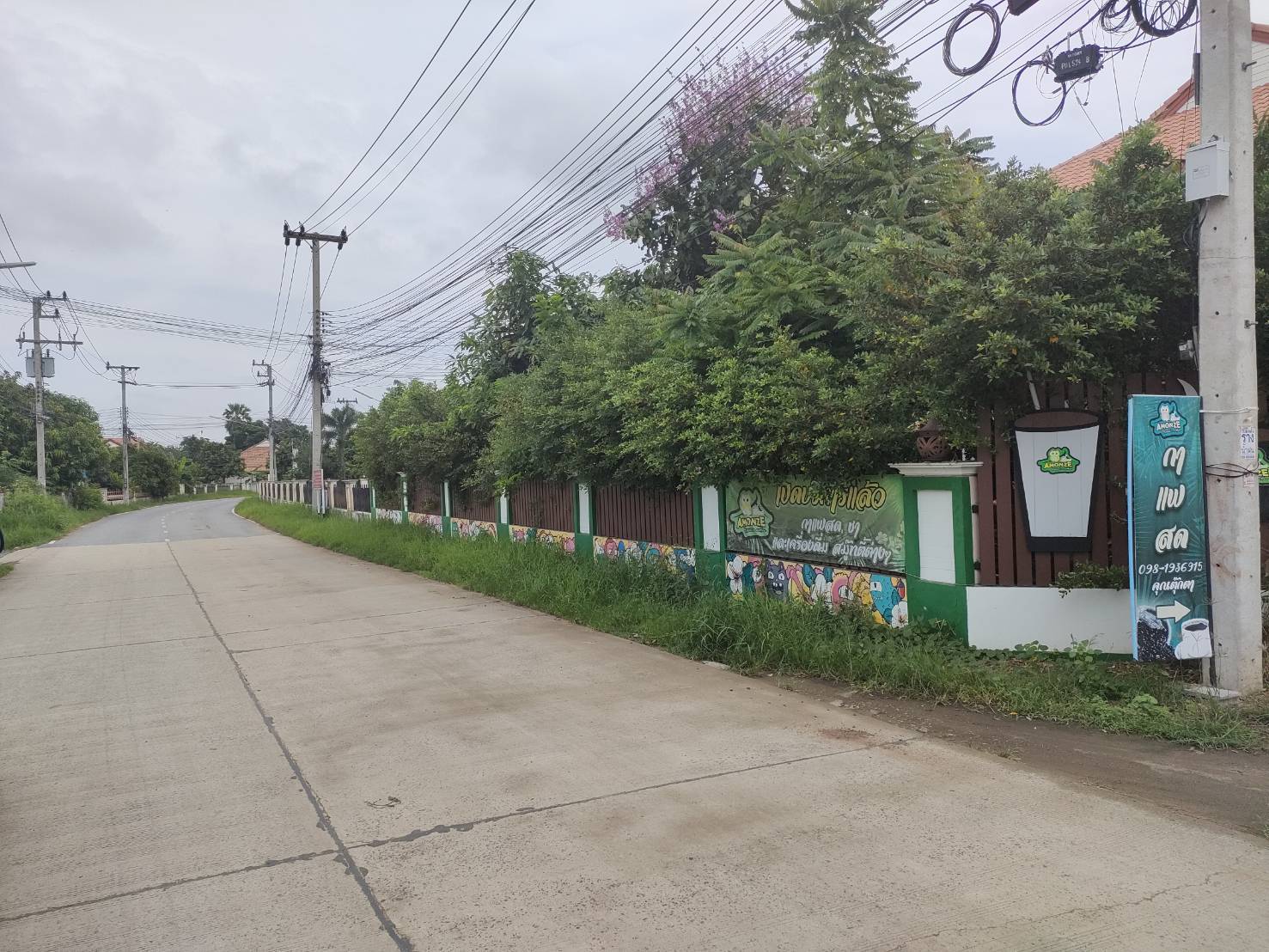 ขายที่ดินเปล่า ทำเลทอง เนื้อที่ 100 ตรว. เหมาะสำหรับปลูกบ้านพักอาศัยหรือเปิดร้านขายของ