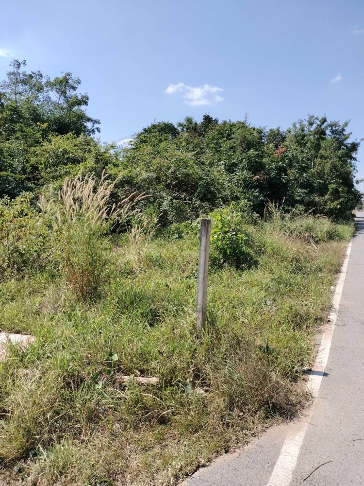 ขายที่ดินเปล่า ทำเลทอง เนื้อที่ 100 ตรว. เหมาะสำหรับปลูกบ้านพักอาศัยหรือเปิดร้านขายของ