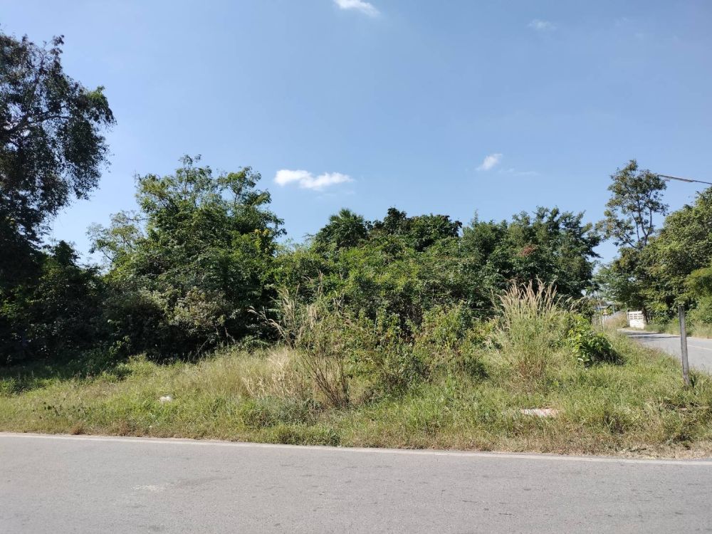 ขายที่ดินเปล่า ทำเลทอง เนื้อที่ 100 ตรว. เหมาะสำหรับปลูกบ้านพักอาศัยหรือเปิดร้านขายของ