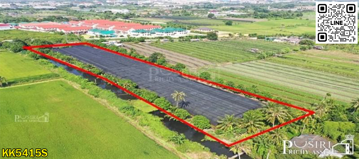 ซื้อทำกำไร  สร้างมูลค่าเพิ่มได้มากกว่าเท่าตัว ที่ 6 ไร่เศษ ใกล้โครงการถนนตัดใหม่กัลปพฤกษ์  พุทธสาคร KK5415S