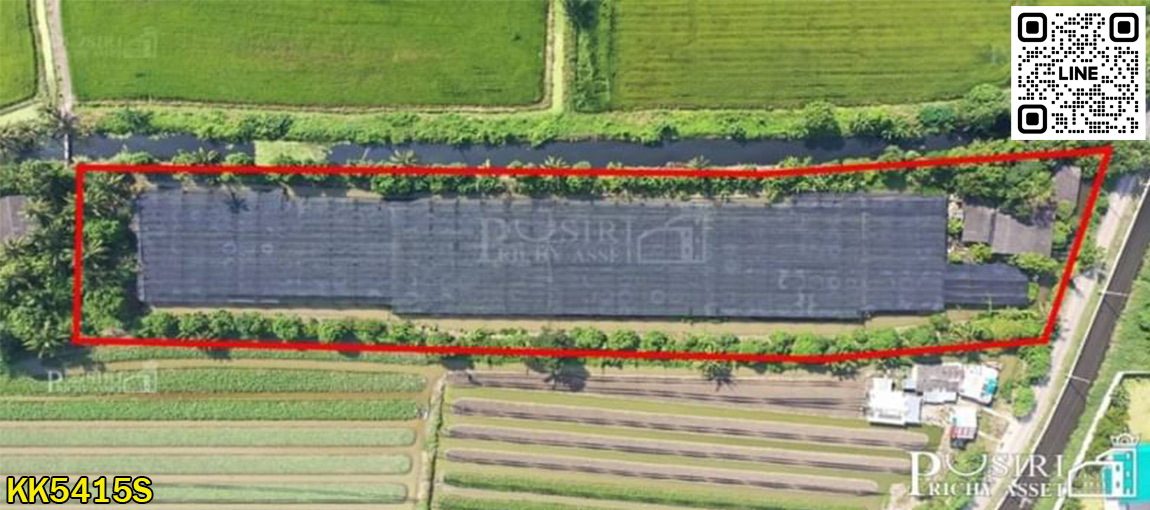 ซื้อทำกำไร  สร้างมูลค่าเพิ่มได้มากกว่าเท่าตัว ที่ 6 ไร่เศษ ใกล้โครงการถนนตัดใหม่กัลปพฤกษ์  พุทธสาคร KK5415S