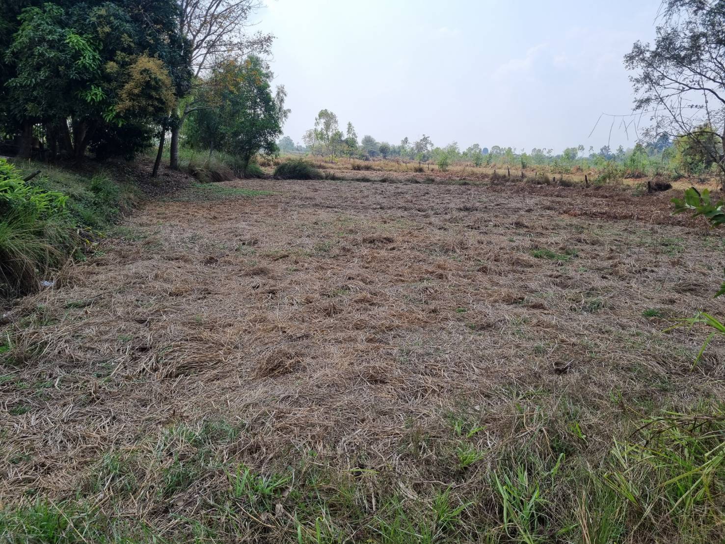 ขายที่ดิน 9-1-38 THB2,500,000 บ้านธาตุ เพ็ญ อุดรธานี