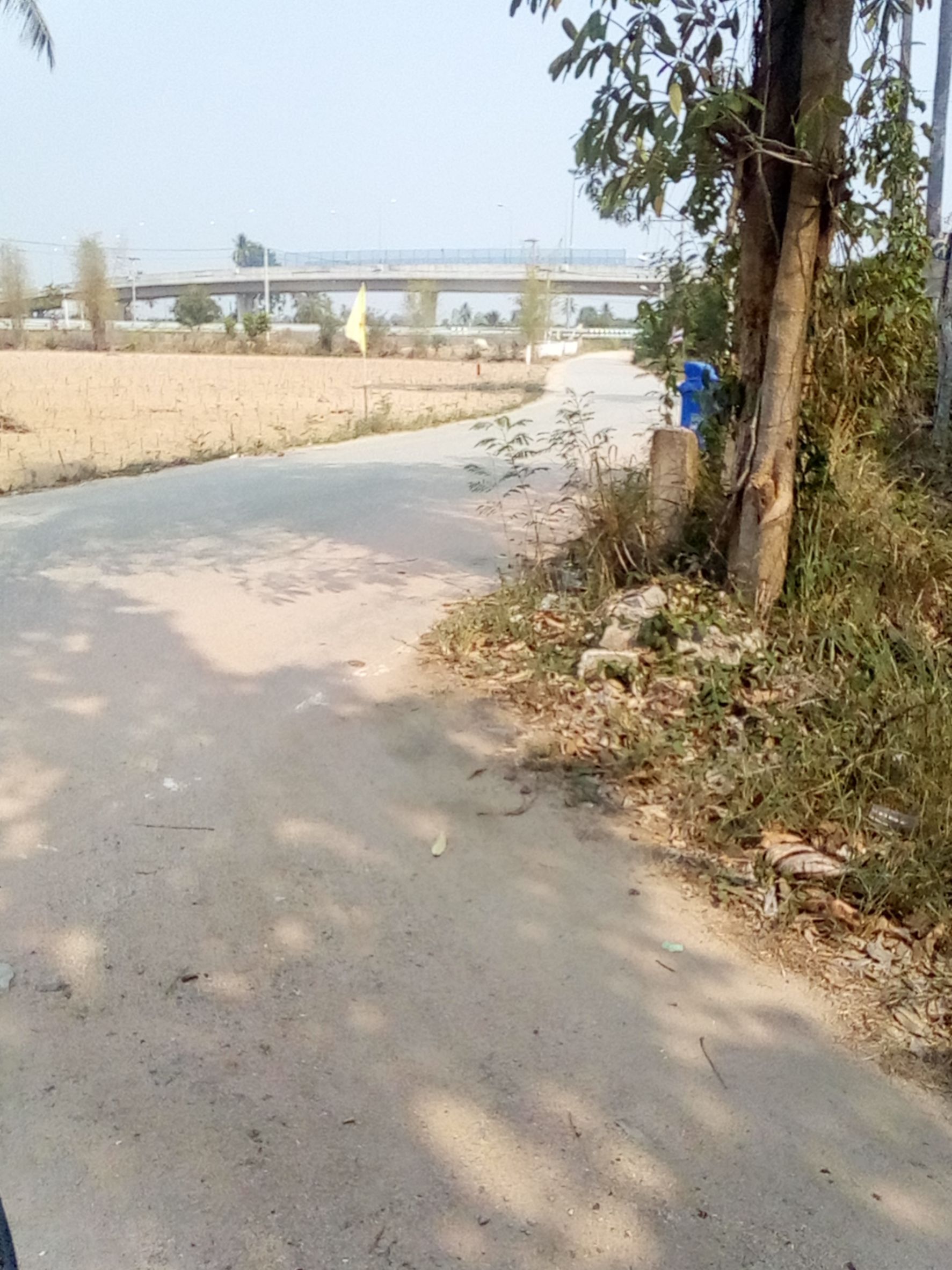 ขายที่ดิน 5 ไร่ อำเภอบางละมุง จังหวัดชลบุรี