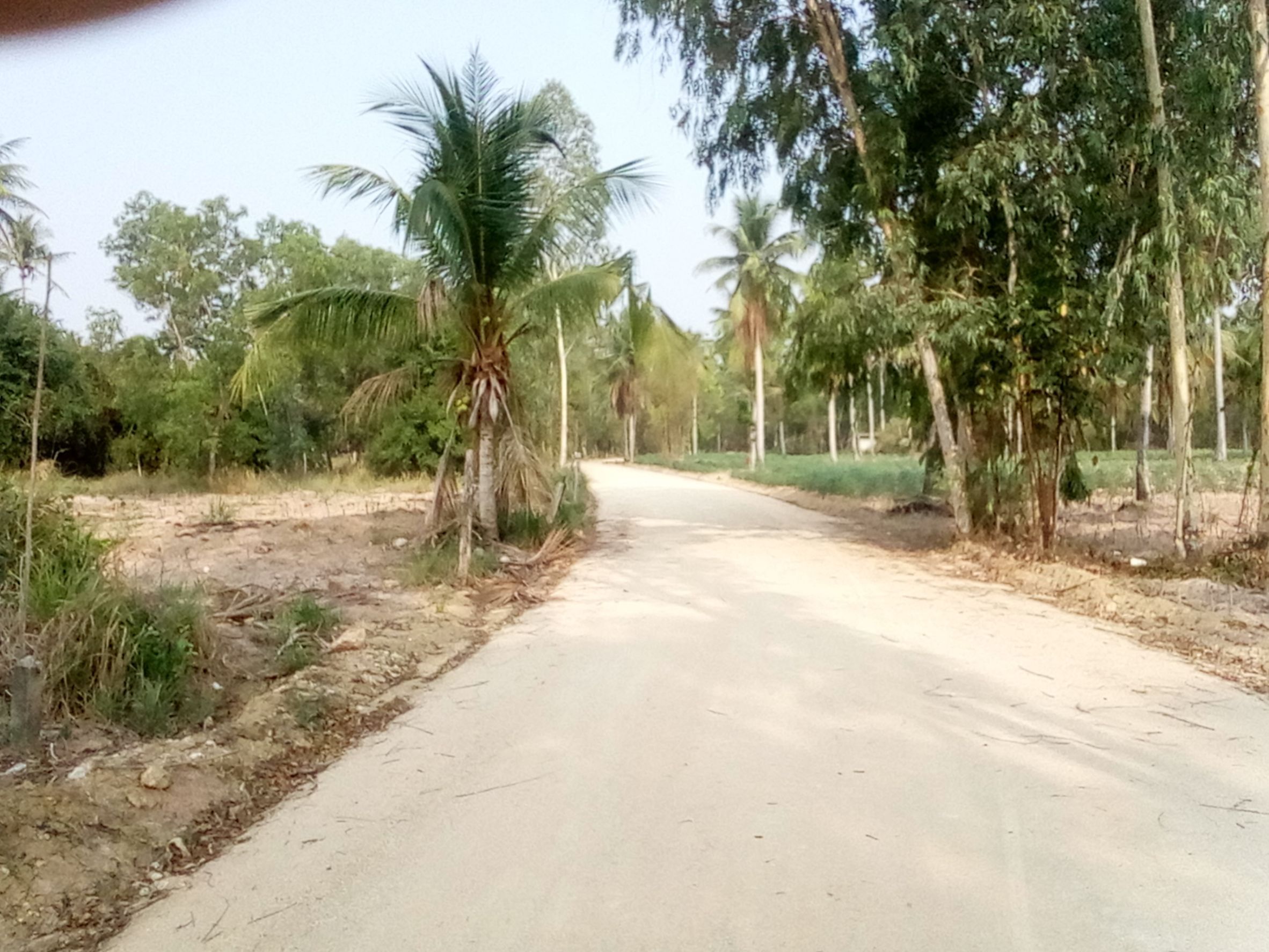 ขายที่ดิน 5 ไร่ อำเภอบางละมุง จังหวัดชลบุรี