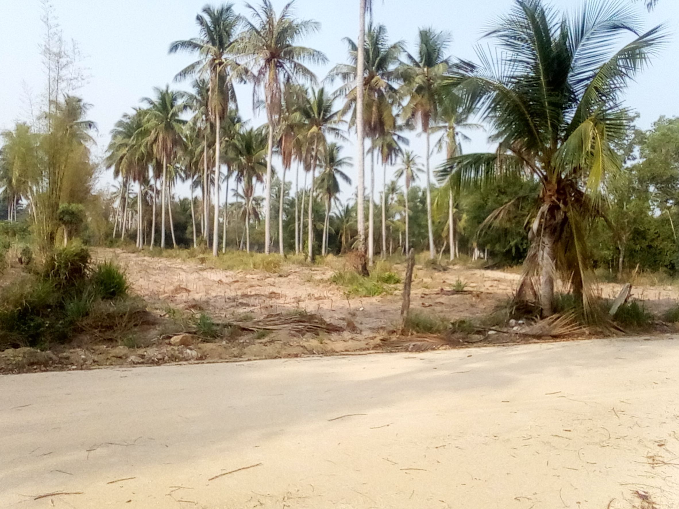 ขายที่ดิน 5 ไร่ อำเภอบางละมุง จังหวัดชลบุรี