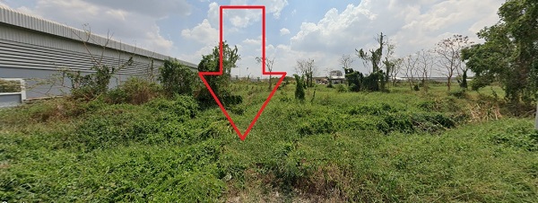 ขายที่ดิน 2-0-2 ไร่ คลอง7 หนองเสือ ปทุมธานี  ที่ถมแล้ว ใกล้ มหาวิทยาลัยราชมงคลคลองหกธัญญบุรี ใกล้ดูโฮมคลองหก  ใกล้ BiG-C คลองหก เหมาะสร้างโกดัง ,เหมาะสร้างโรงงาน 