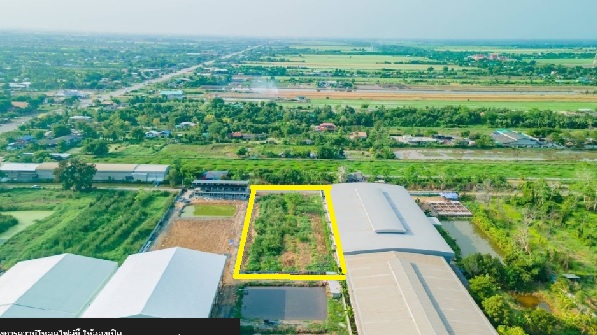 ขายที่ดิน 2-0-2 ไร่ คลอง7 หนองเสือ ปทุมธานี  ที่ถมแล้ว ใกล้ มหาวิทยาลัยราชมงคลคลองหกธัญญบุรี ใกล้ดูโฮมคลองหก  ใกล้ BiG-C คลองหก เหมาะสร้างโกดัง ,เหมาะสร้างโรงงาน 