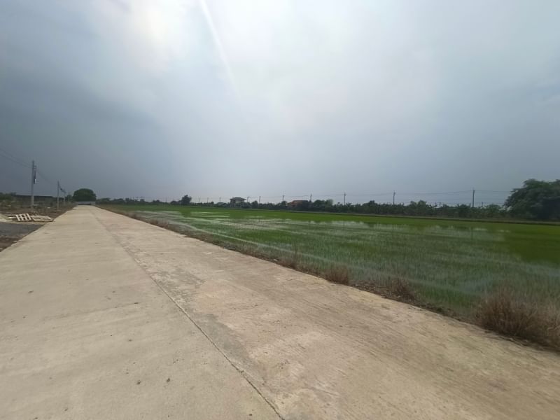 MBB154 ขายที่ดินจัดสรร หนองจอก คลองสิบสอง แปลงสี่เหลี่ยมผืนผ้า ที่ดินถมแล้วน้ำไฟเข้าถึง ทำเลสวย วิวหลักล้าน