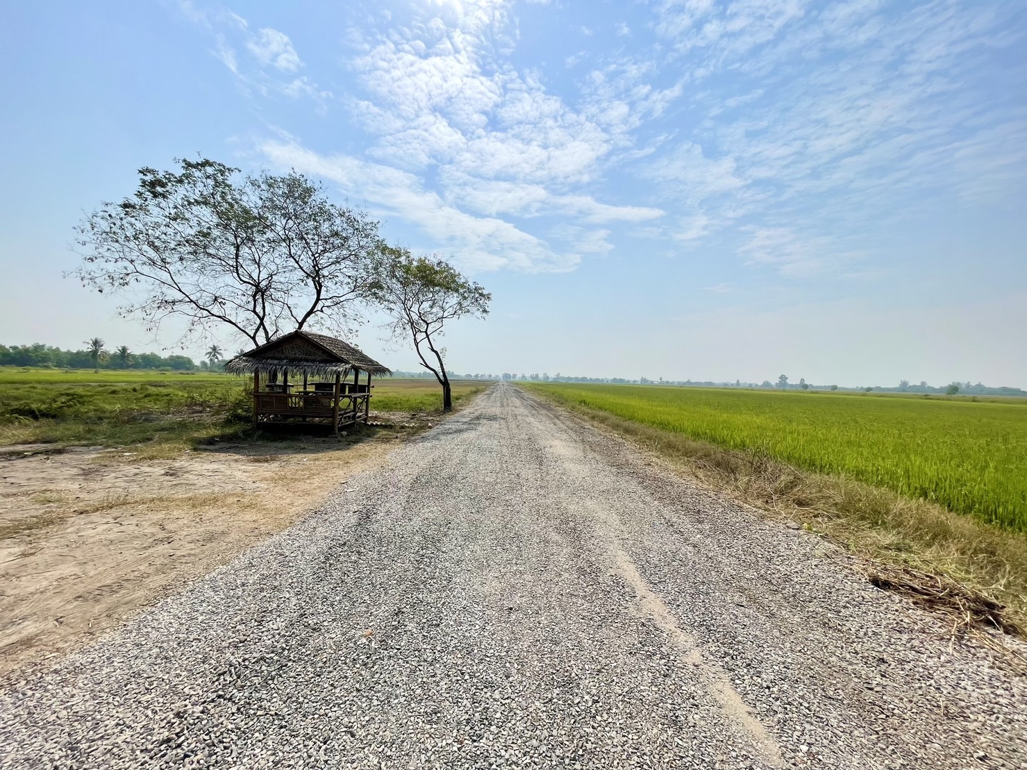 ขายที่ดินสวยยกแปลง ติดถนน 2 ด้าน แปลงมุม ถมแล้ว ทำเลดีมาก