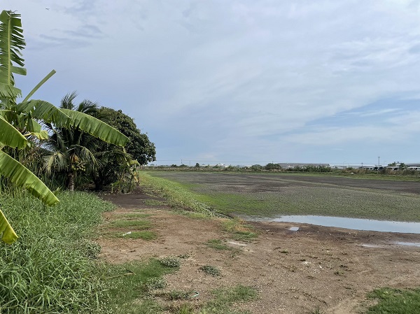 ขายที่ดิน เลียบคลองมอญ ทับยาว ลาดกระบัง 5-0-12 ไร่ เหมาะซื้อไว้เก็งกำไร หรือซื้อทำเป็นโกดังเดินทางไปสนามบินสุวรรณภูมิ