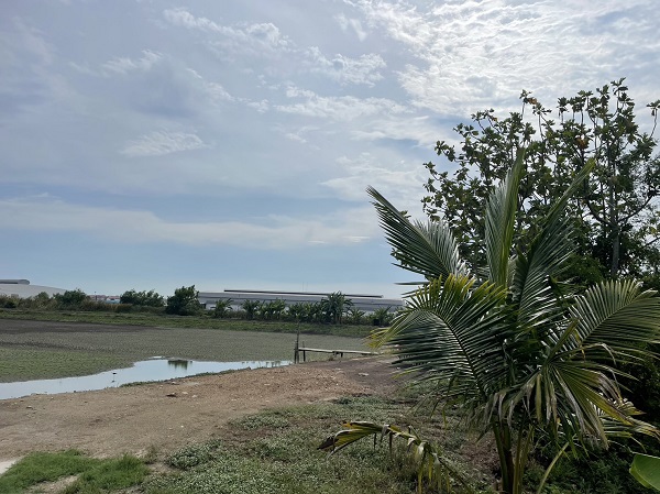 ขายที่ดิน เลียบคลองมอญ ทับยาว ลาดกระบัง 5-0-12 ไร่ เหมาะซื้อไว้เก็งกำไร หรือซื้อทำเป็นโกดังเดินทางไปสนามบินสุวรรณภูมิ