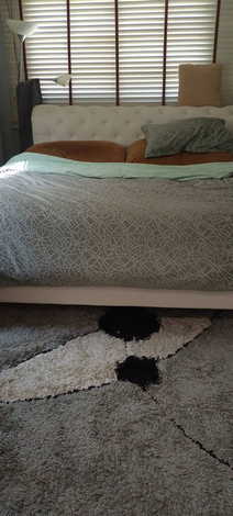 ขายอาคาร 2 ชั้น บนที่ดิน 1 ไร่ พร้อมเฟอร์นิเจอร์ น่าอยู่ เดินทางง่าย โพธิ์ชัย หนองบัวลำภู