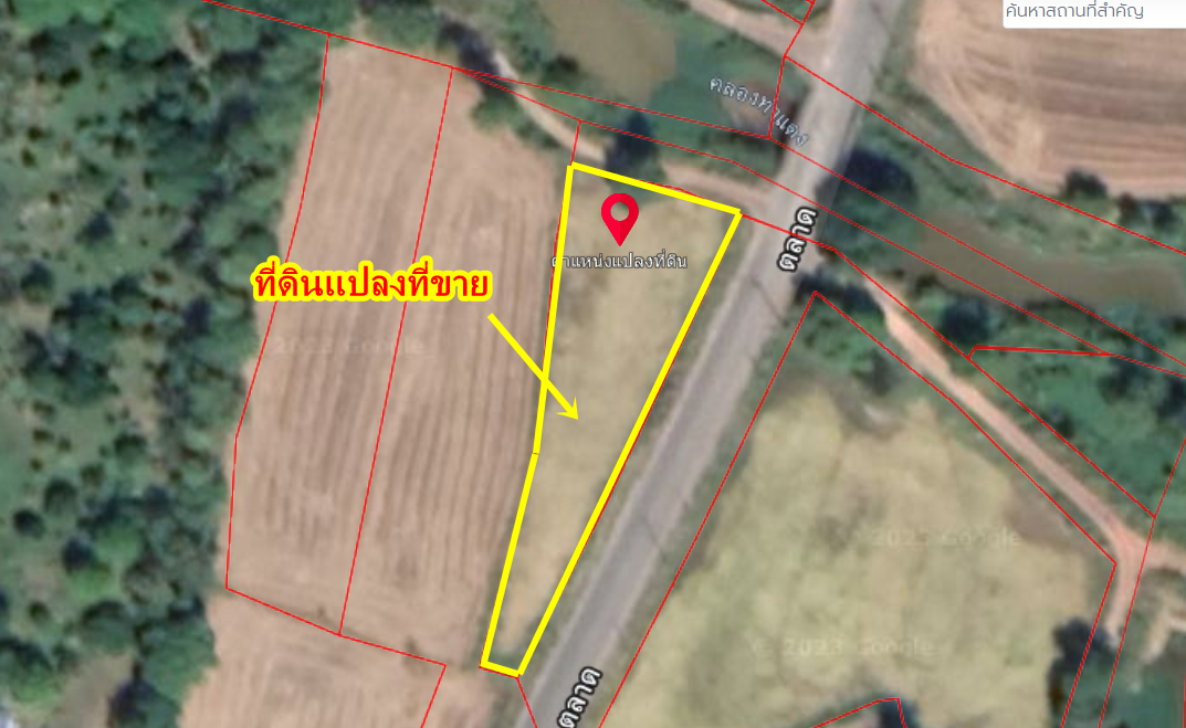 ขายที่ดินบ้านหนองแสง แถววัดตะเคียนทอง ตำบลหนองแสง อำเภอปากพลี จังหวัดนครนายก