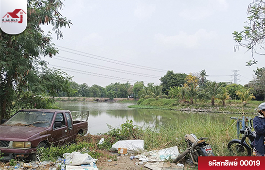 ขายด่วน!! ที่ดินพร้อมสิ่งปลูกสร้าง ขนาด 156 ตรว. คลองข่อย ปากเกร็ด นนทบุรี