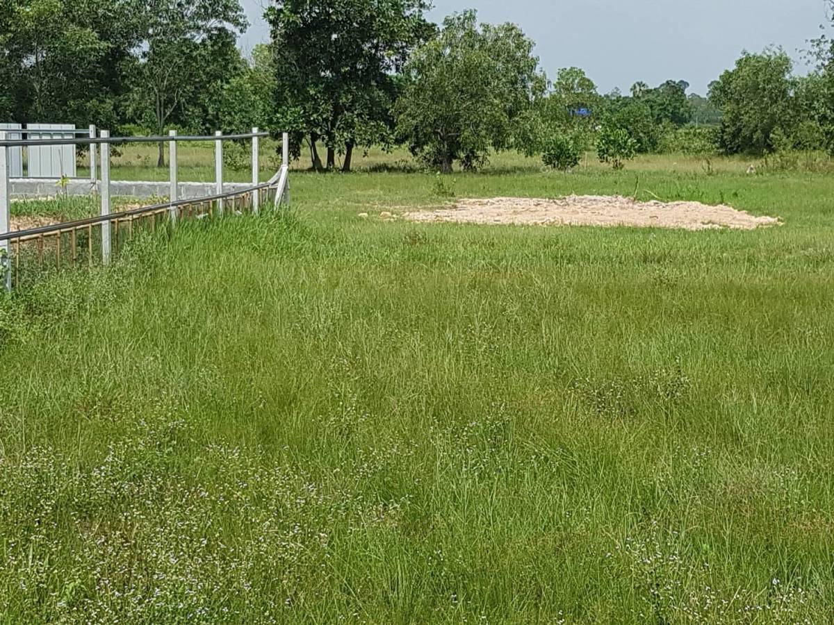 ขายที่ดินสวย 100 ตารางวา ใกล้โรงเรียนเตรียมทหาร อำเภอบ้านนา นครนายก