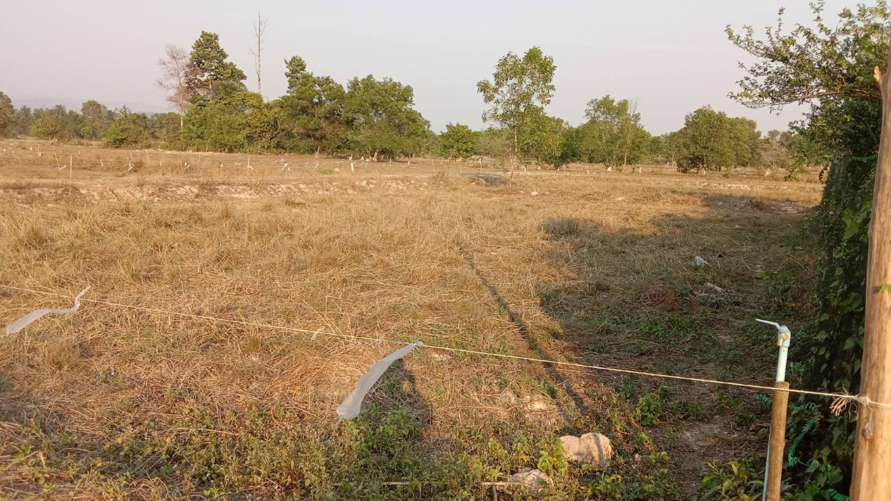 ขายที่ดินสวย 100 ตารางวา ใกล้โรงเรียนเตรียมทหาร อำเภอบ้านนา นครนายก