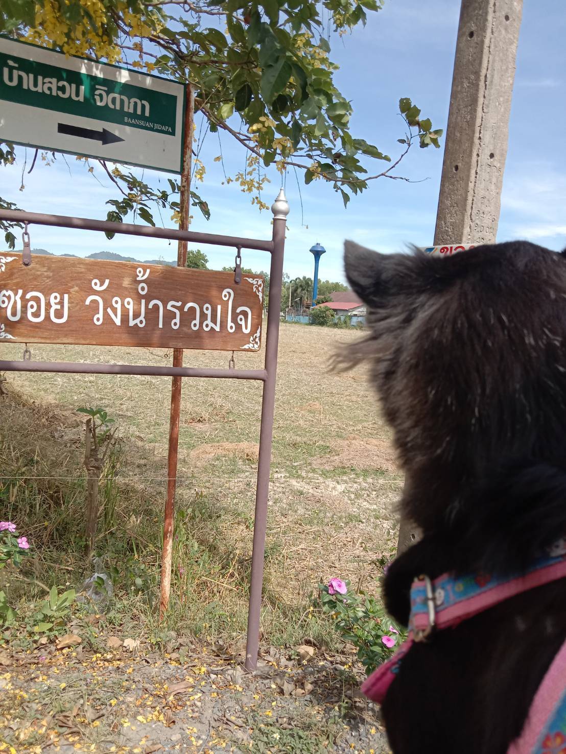 ขายที่ดินสวย 100 ตารางวา ใกล้โรงเรียนเตรียมทหาร อำเภอบ้านนา นครนายก