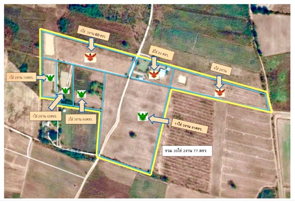 ขายที่ดินพร้อมสิ่งปลูกสร้าง สำหรับคนอยากมีบ้านสวน มีปลูกต้น สัก ไผ่ซางหม่น พยุงฯ ไว้แล้ว ราชบุรี