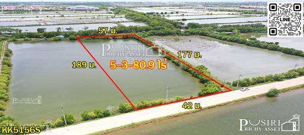 ขาย ที่สวยไร่ละ2.6ล้าน สร้างโรงงานได้ใกล้กรุงเทพเกือบ 6ไร่ ขอใบ รง.4 ได้ ใช้เทรลเลอร์ เข้า-ออก สะดวก ด้วยเส้นบางขุนเทียน - KK5156S
