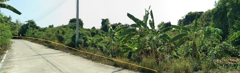 ขายที่ดินเนื้อที่ 8-2-54.5 ไร่ ติดถนนสาธารณะเกือบรอบด้าน ย่านกำลังเจริญเติบโต นนทบุรี