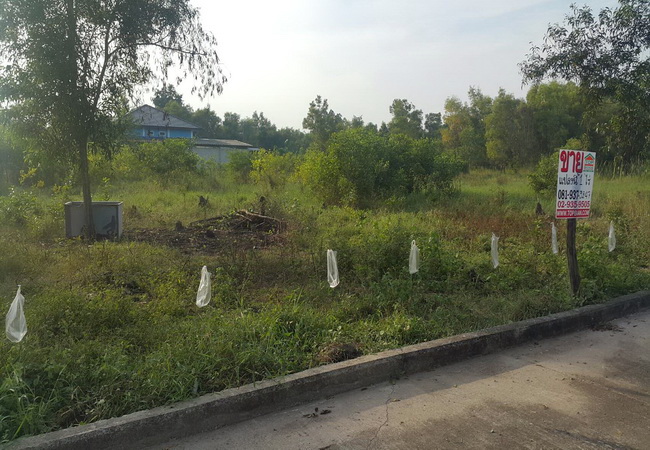 ขายที่ดิน คลอง 4 แยก 12 ปทุมธานี เนื้อที่ 1 ไร่ ถมแล้ว แปลงสวย ห่างถนนคลองหลวง 400 ม.