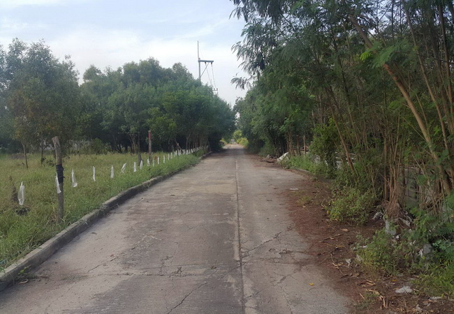 ขายที่ดิน คลอง 4 แยก 12 ปทุมธานี เนื้อที่ 1 ไร่ ถมแล้ว แปลงสวย ห่างถนนคลองหลวง 400 ม.