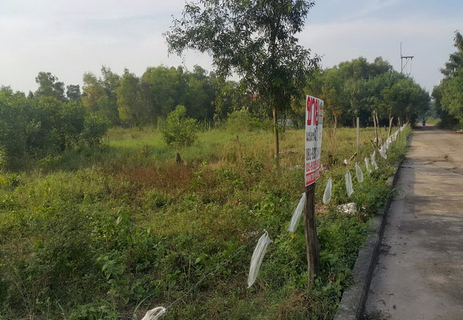 ขายที่ดิน คลอง 4 แยก 12 ปทุมธานี เนื้อที่ 1 ไร่ ถมแล้ว แปลงสวย ห่างถนนคลองหลวง 400 ม.