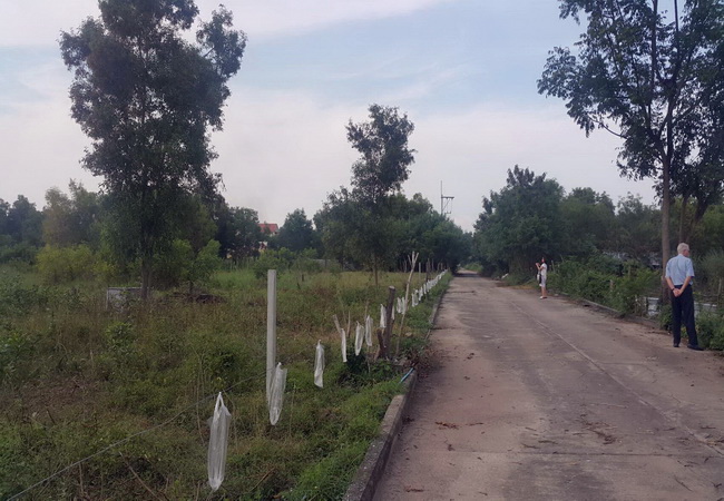 ขายที่ดิน คลอง 4 แยก 12 ปทุมธานี เนื้อที่ 1 ไร่ ถมแล้ว แปลงสวย ห่างถนนคลองหลวง 400 ม.