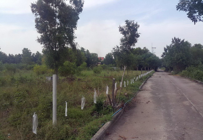 ขายที่ดิน คลอง 4 แยก 12 ปทุมธานี เนื้อที่ 1 ไร่ ถมแล้ว แปลงสวย ห่างถนนคลองหลวง 400 ม.