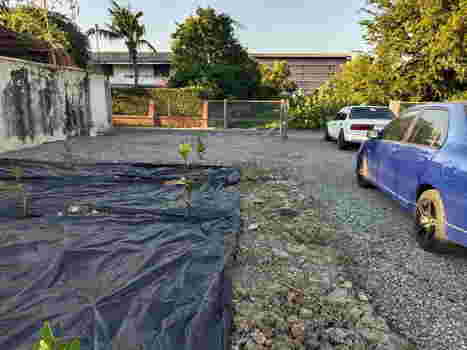 ขาย ที่ดิน ถมดินเรียบร้อยแล้ว ซอยรามอินทรา 77 แยก 10 พร้อมรั้วรอบเป็นขอบเขต ใจกลางเมือง เนื้อที่ 167 ตรว. (1 งาน 67 ตรว.) ใกล้โครงการสถานีรถไฟฟ้าสายสีชมพู ราคาดีงาม ถูกสุดๆ ในราคาตลาดที่ดินย่านนี้