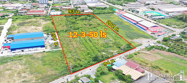 สร้างโรงงานได้ 13,000 ตร.ม. ที่สีม่วงเกือบ 13 ไร่ ฮวงจุ้ยดีหน้ากว้าง 94 ม. หันทิศใต้ รถเทรลเลอร์เข้า - ออกสะดวก ใกล้ถนนเศรษฐกิจเเละพุทธสาคร 