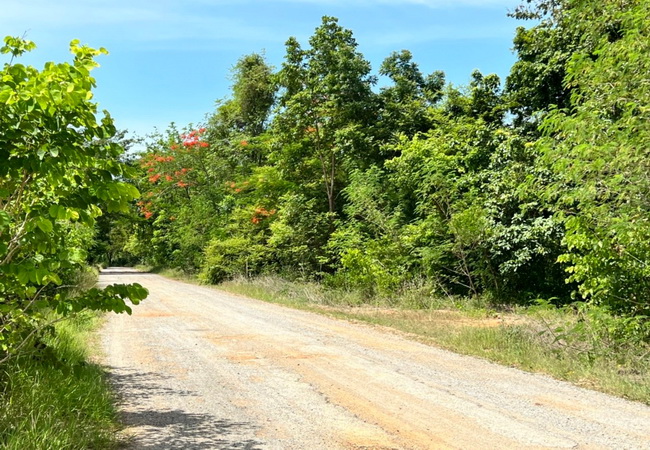 ขายที่ดิน ใกล้โรงแรมโคราช รีสอร์ท ถนนมิตรภาพ อำเภอโชคชัย นครราชสีมา เนื้อที่ 2 ไร่ แปลงสวย ถมแล้ว 