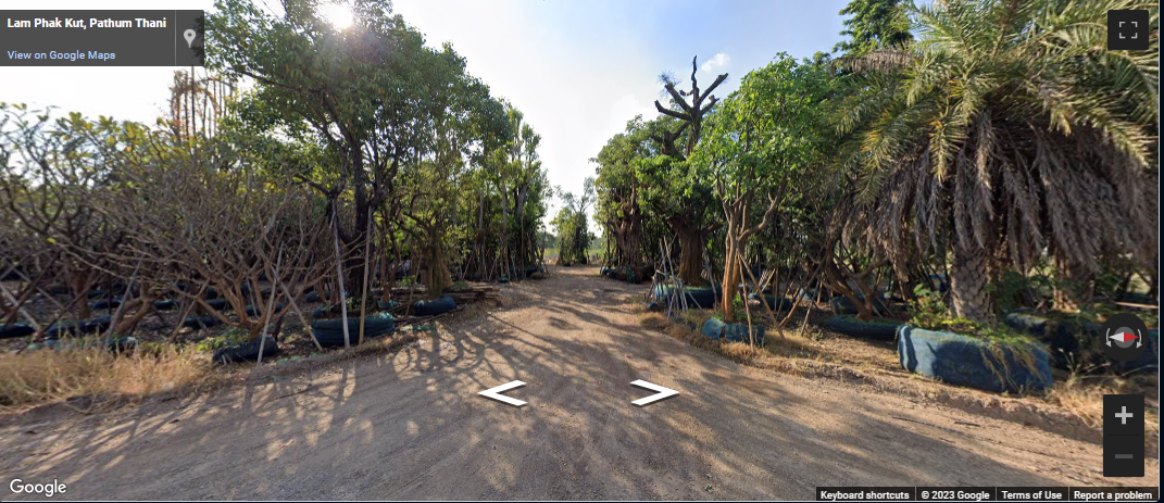 ขายที่ดินถมแล้ว 9ไร่  สีม่วง คลอง8 ลำผักกูด ธัญบุรี ปทุมธานี เหมาะสร้างโรงงาน โกดัง